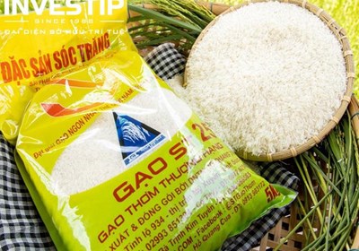 Câu chuyện Gạo ST25 - Ý kiến chuyên gia về bài học bảo hộ nhãn hiệu của doanh nghiệp Việt Nam tại thị trường nước ngoài