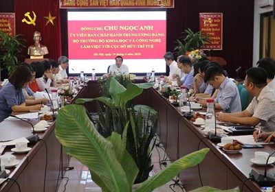 Số bằng độc quyền Sáng chế tại Việt Nam tăng 56% trong dịch Covid-19